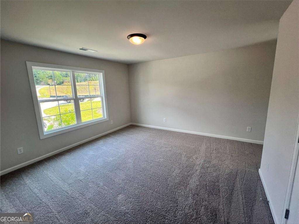 305 Willow Cove Canton - Photo 9
