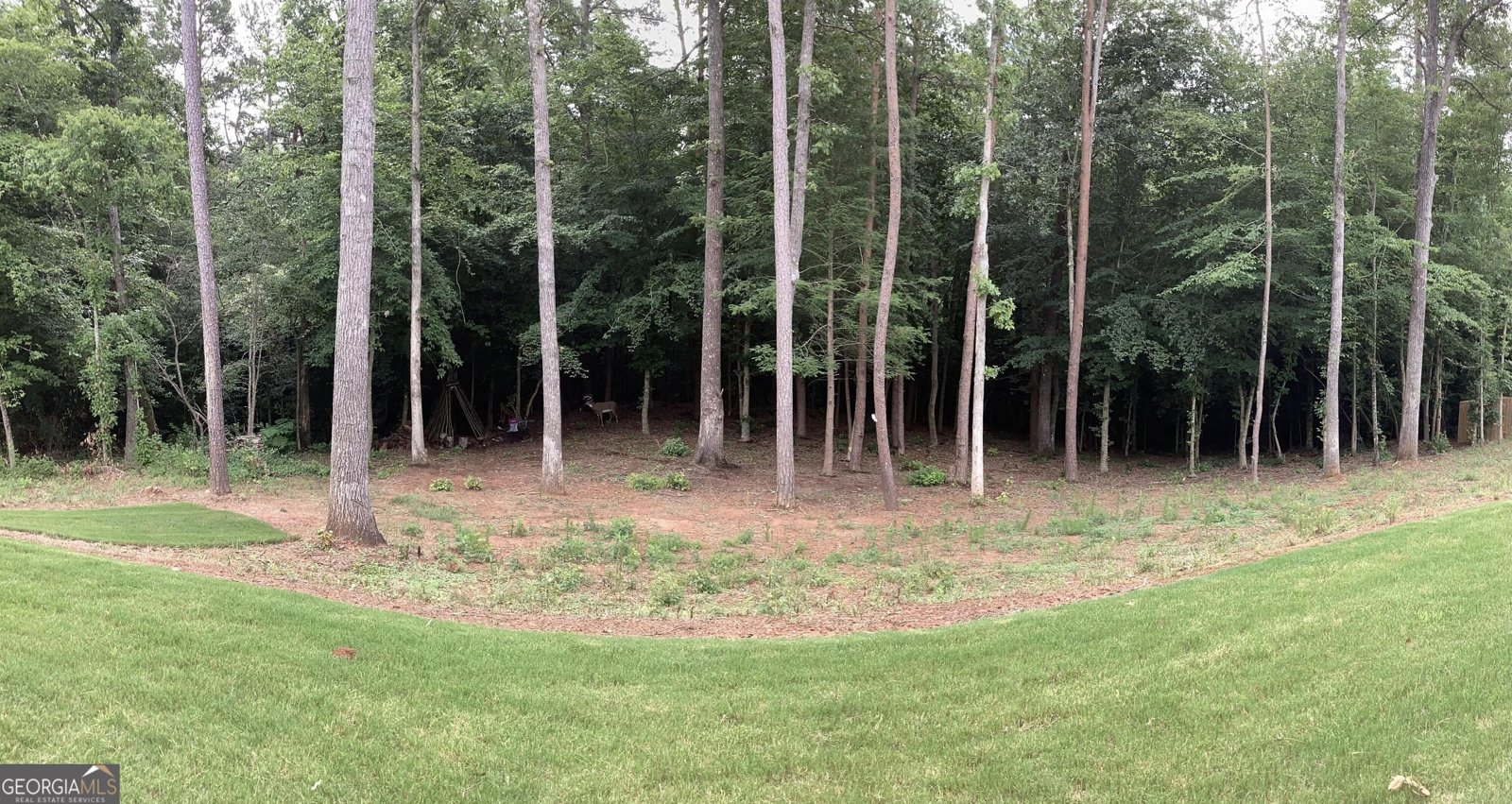 72 Highland Pointe Drive Ellijay - Photo 7