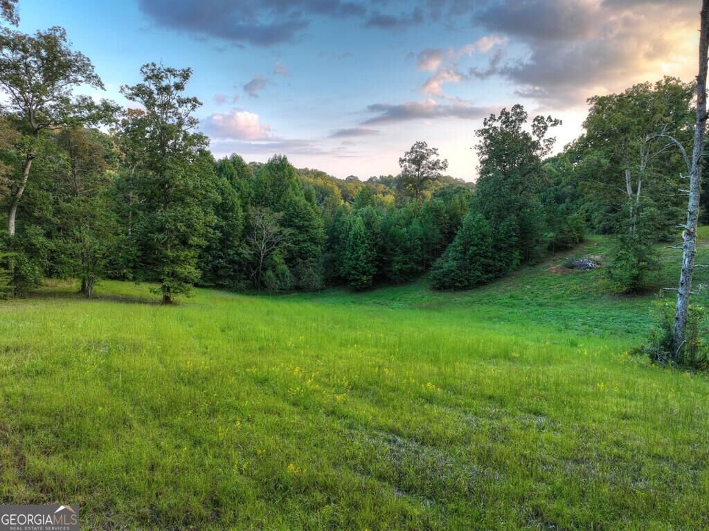 552 Dalrymple Circle Ellijay - Photo 11