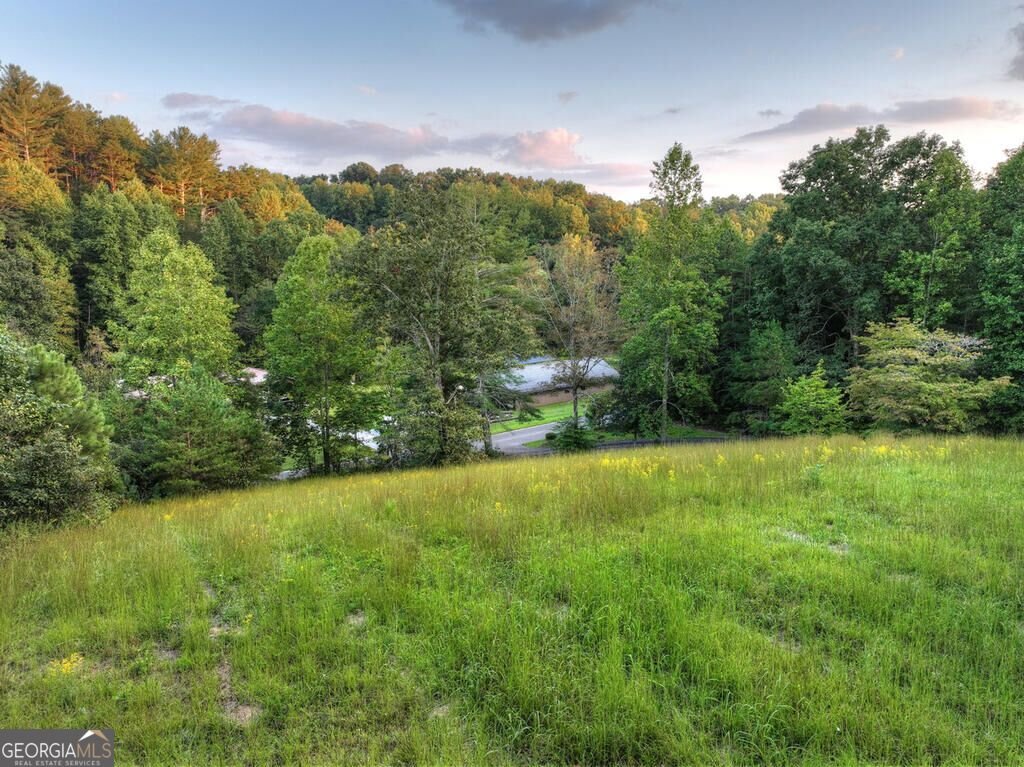 552 Dalrymple Circle Ellijay - Photo 33
