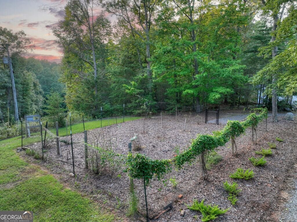552 Dalrymple Circle Ellijay - Photo 39