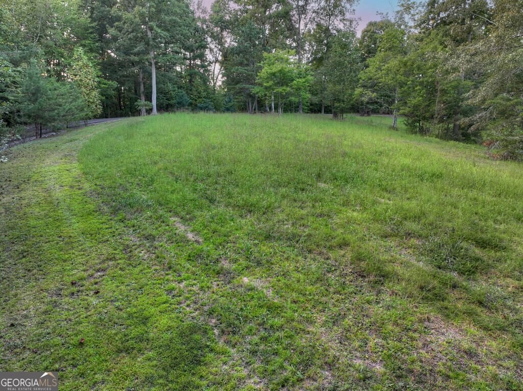 552 Dalrymple Circle Ellijay - Photo 40