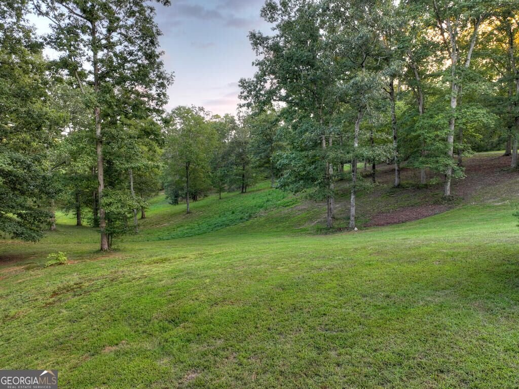 552 Dalrymple Circle Ellijay - Photo 77