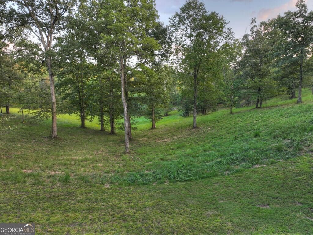 552 Dalrymple Circle Ellijay - Photo 78
