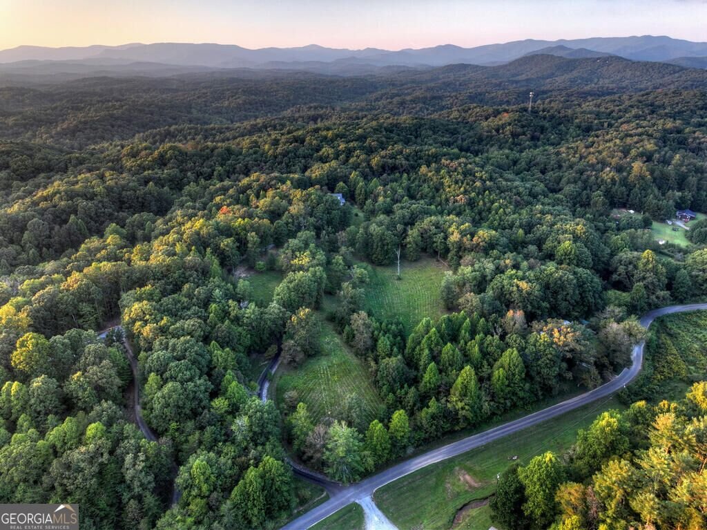552 Dalrymple Circle Ellijay - Photo 79