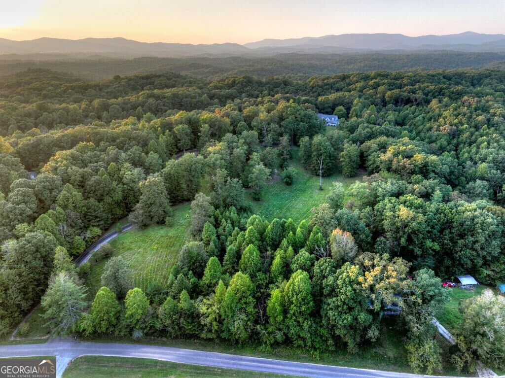 552 Dalrymple Circle Ellijay - Photo 86