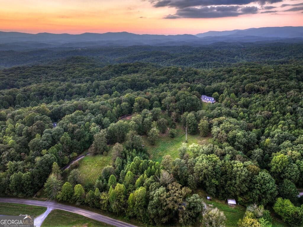 552 Dalrymple Circle Ellijay - Photo 87