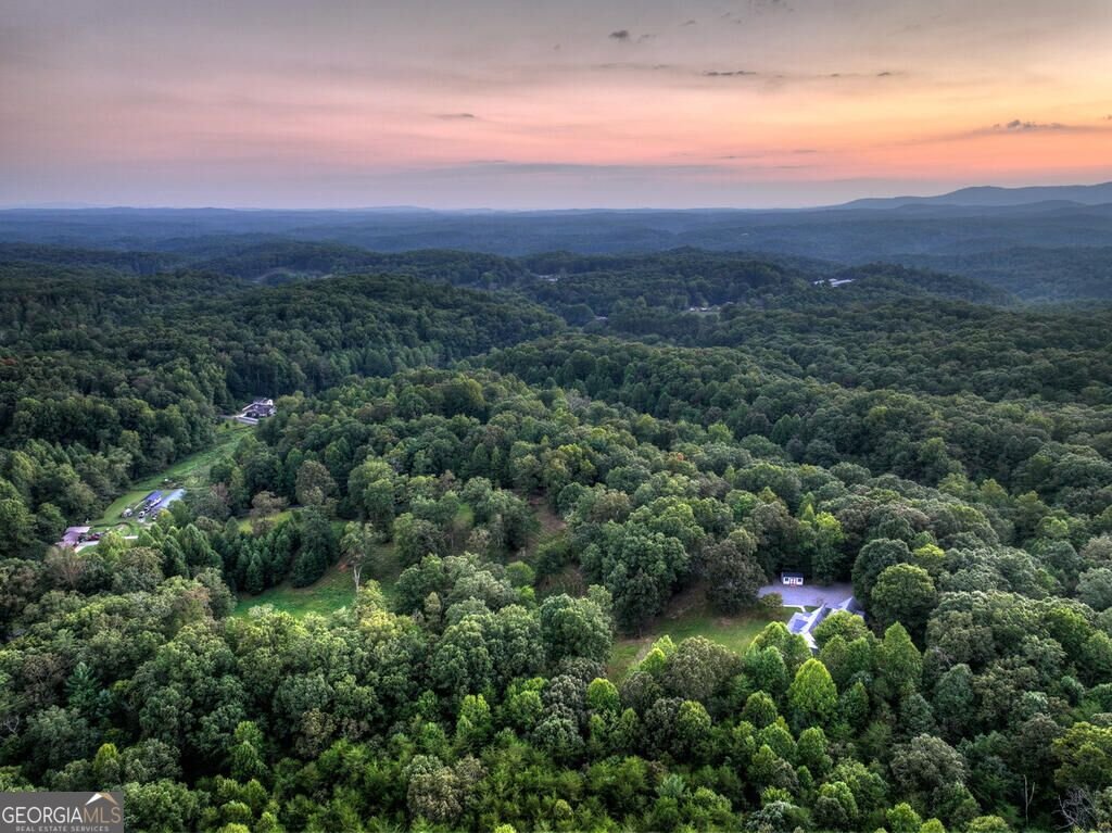 552 Dalrymple Circle Ellijay - Photo 89