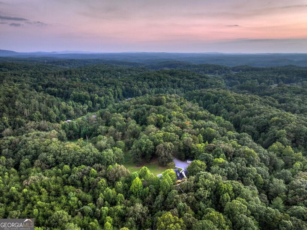 552 Dalrymple Circle Ellijay - Photo 90