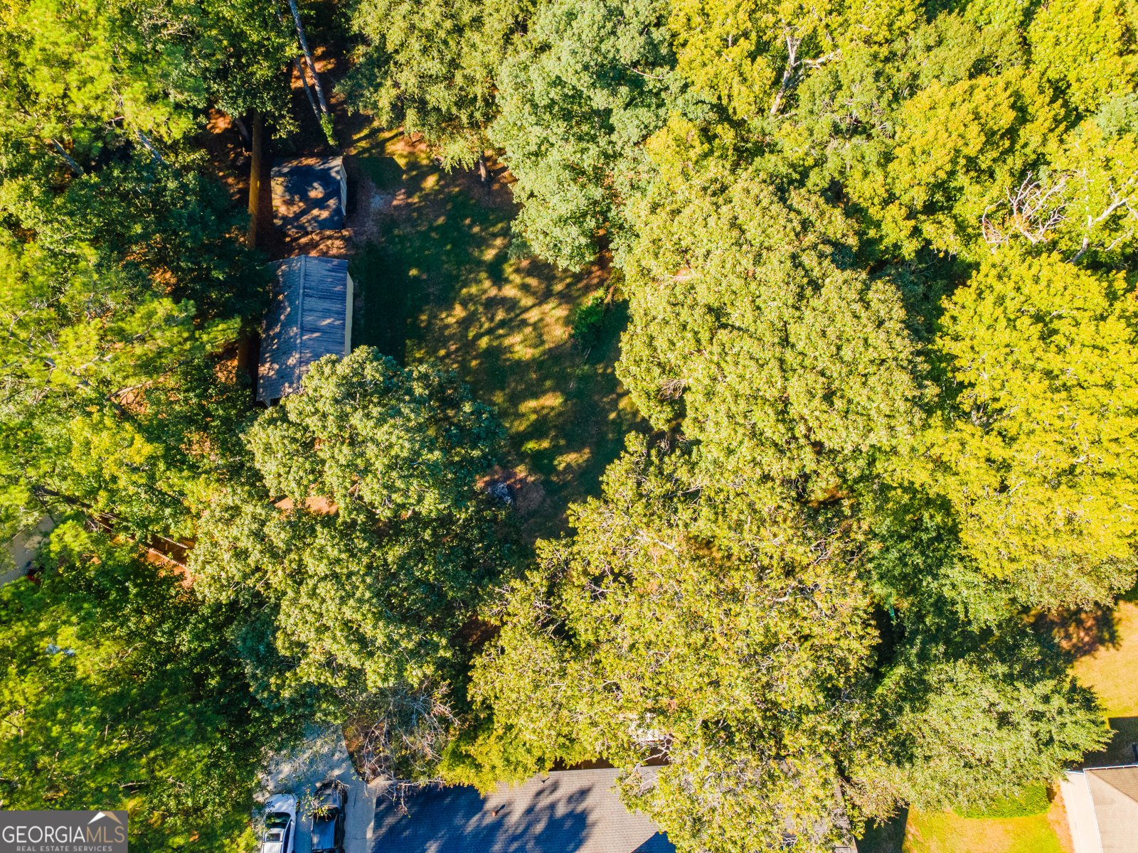 166 Azalea Farms Road Social Circle - Photo 49