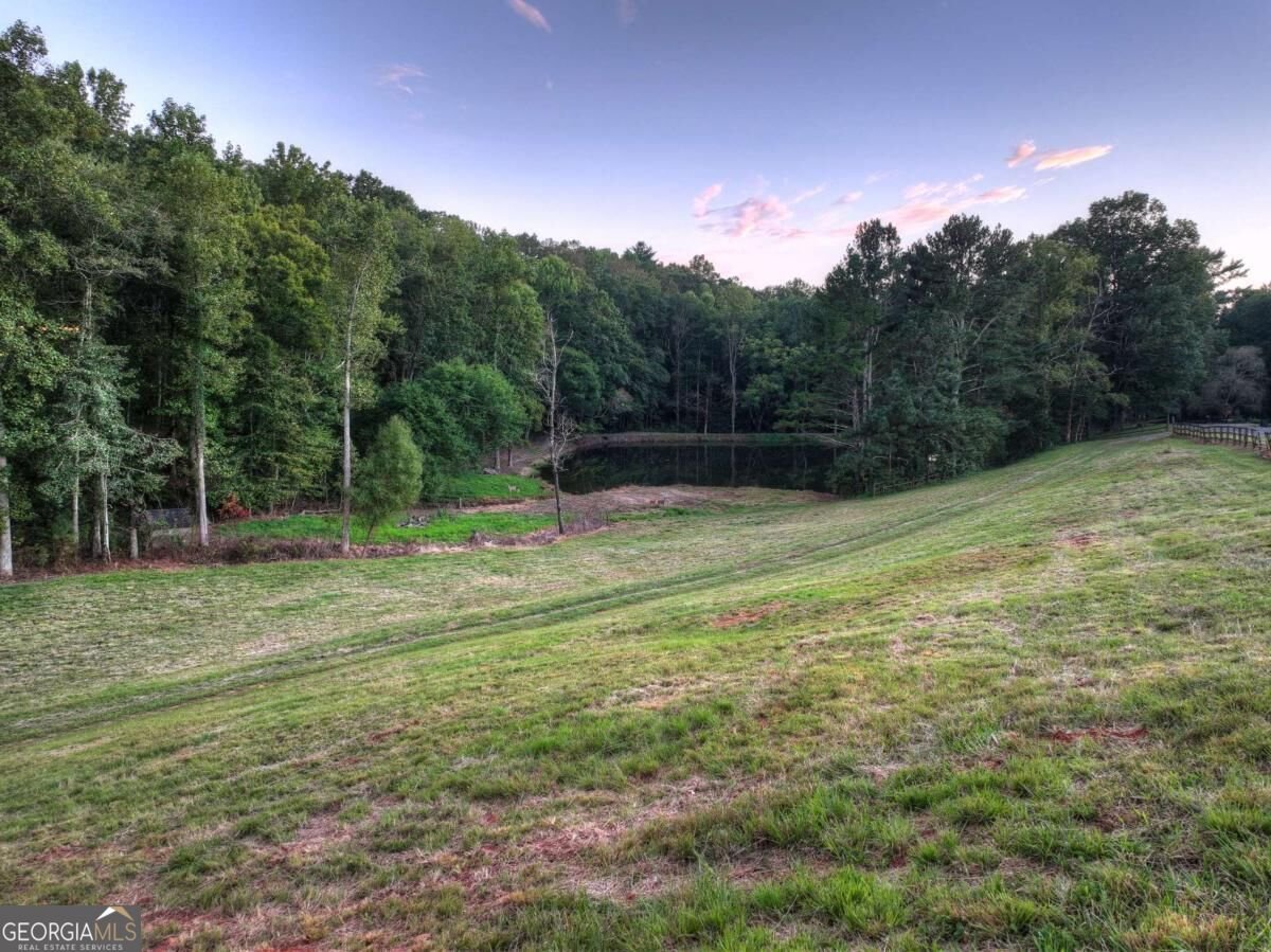 859 Hagin Circle Ellijay - Photo 59