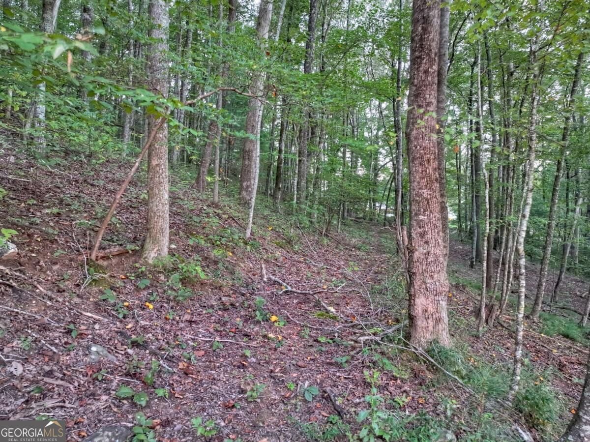 859 Hagin Circle Ellijay - Photo 62