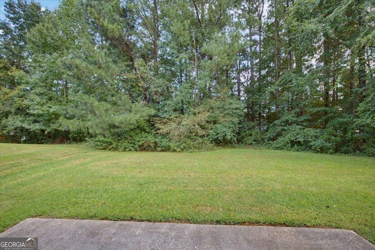 805 Chelsea Wood Court Stockbridge - Photo 39
