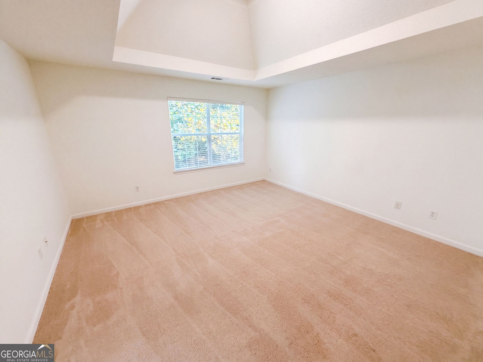 4720 Buffalo Street Fairburn - Photo 6