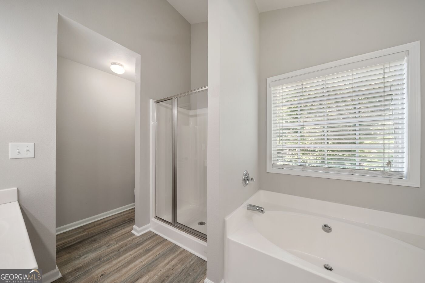 6973 Grand Hickory Drive Braselton - Photo 29
