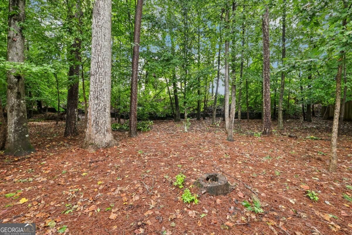3845 Summit Gate Drive Suwanee - Photo 58