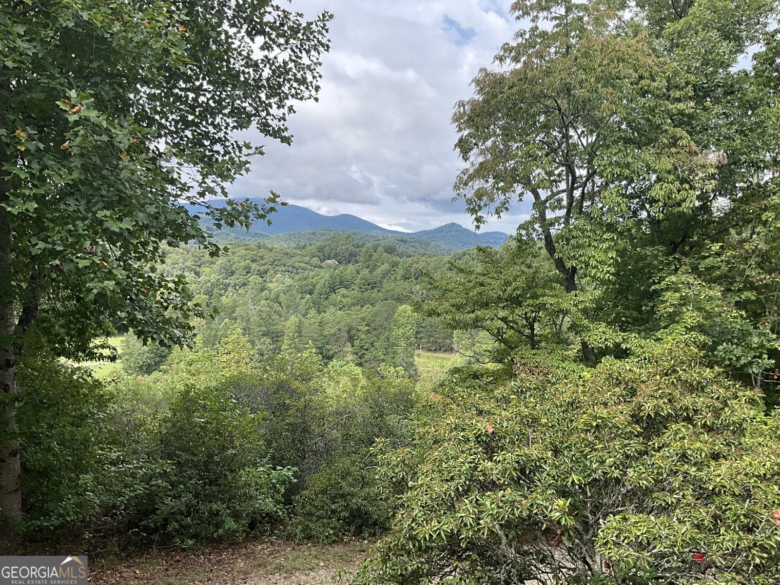 182 Nonchalant Lane Blairsville - Photo 20