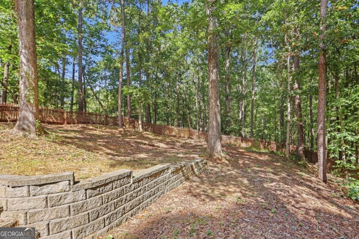 2903 Etchison Road Loganville - Photo 46