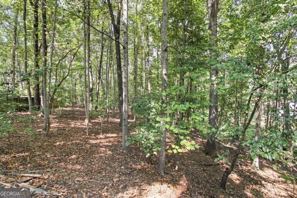 504 Chestnut Ridge Woodstock - Photo 29