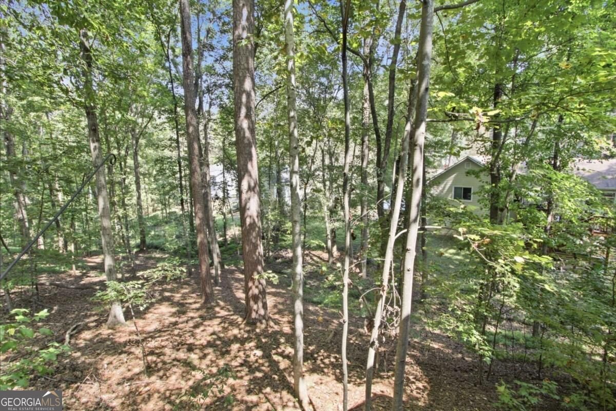 504 Chestnut Ridge Woodstock - Photo 30
