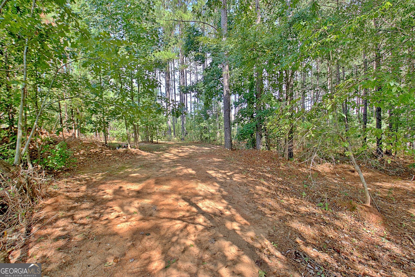 40 Tattersall Way Senoia - Photo 77