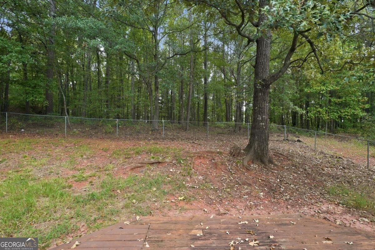 222 Brenda Ellen Drive Newnan - Photo 28
