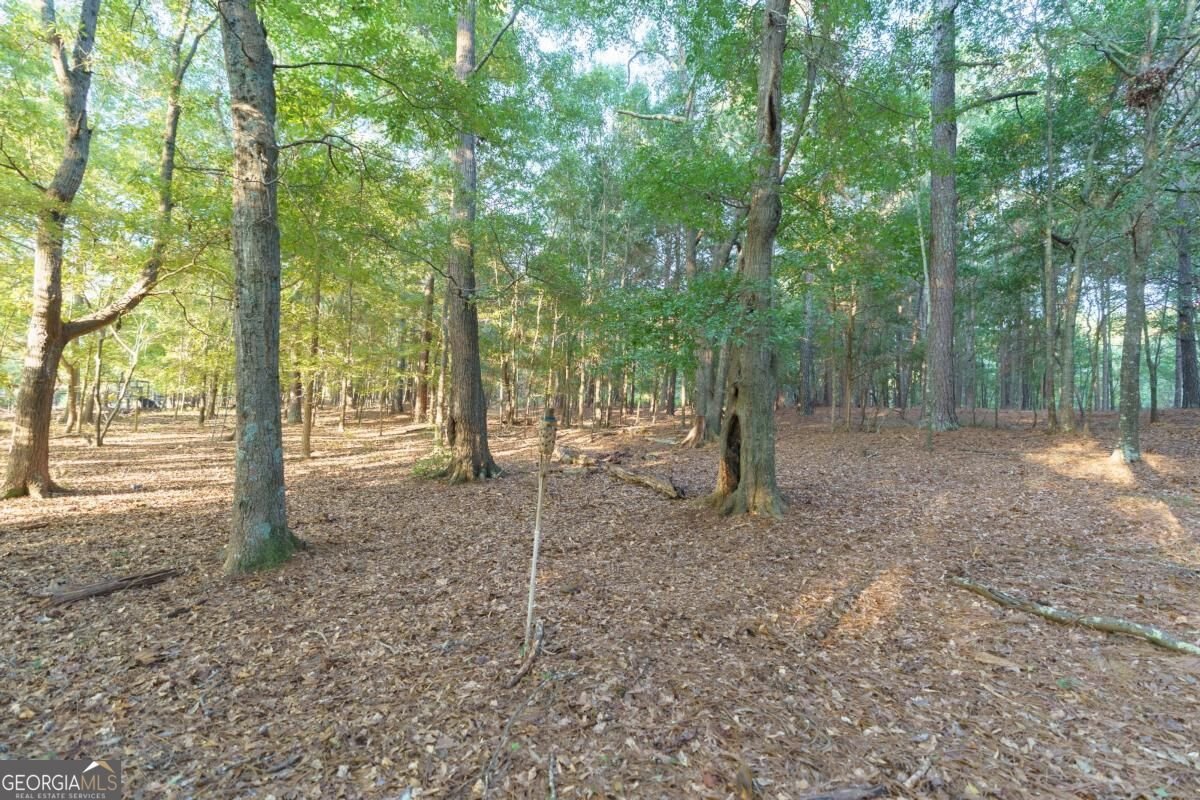 3113 Morningside Drive Watkinsville - Photo 44