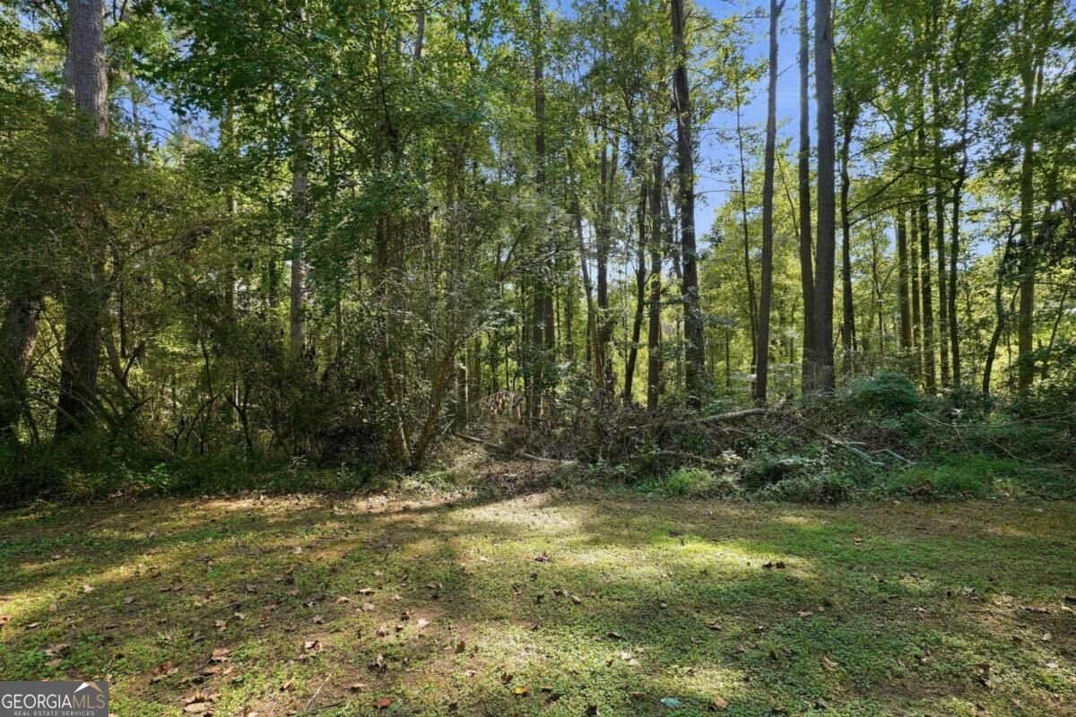 732 Harness Court Lithonia - Photo 33