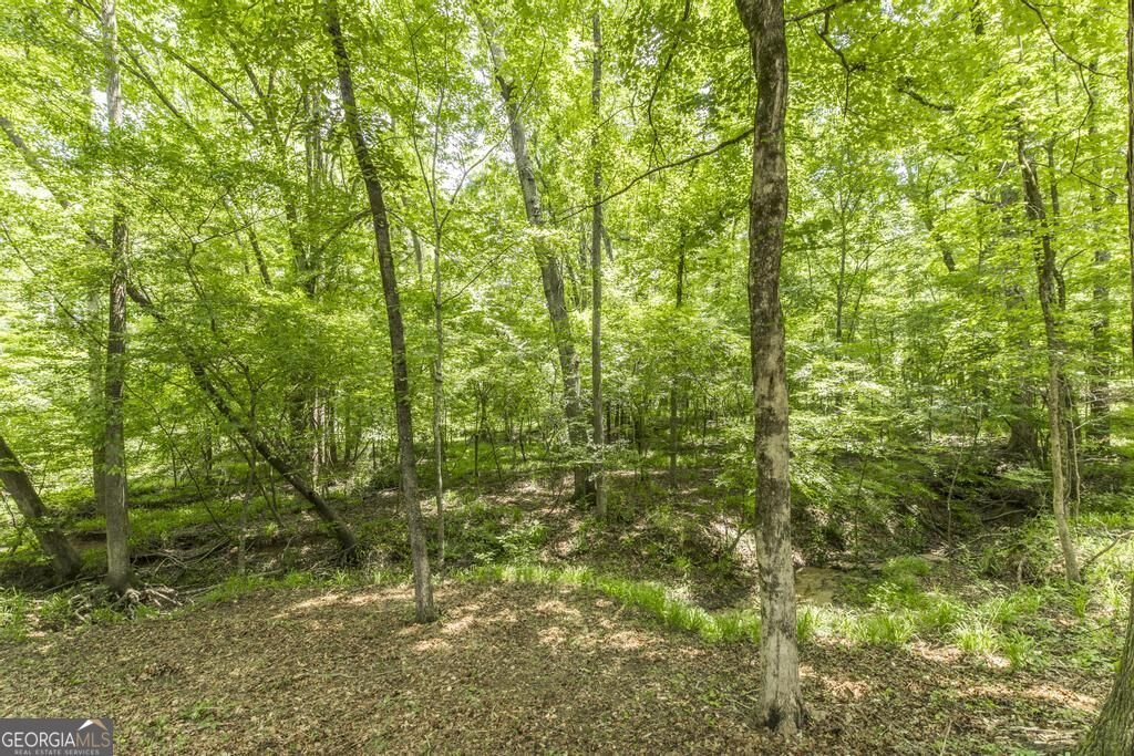 127 Ridge Crest Drive Macon - Photo 35