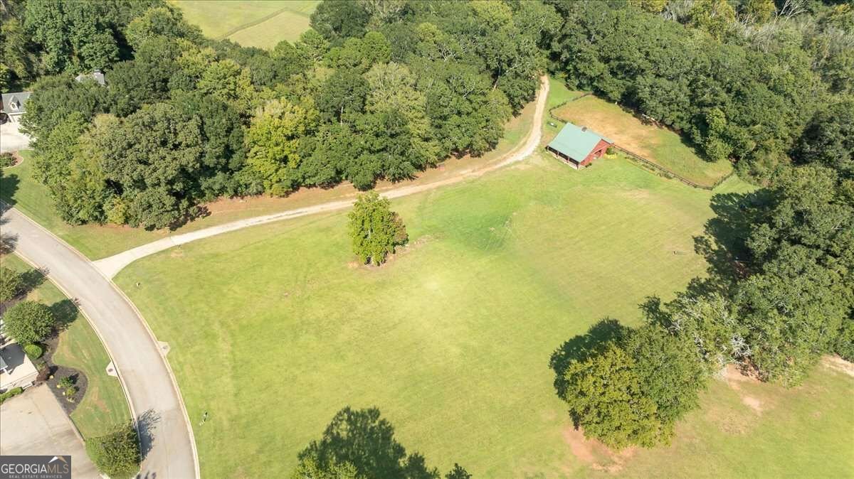 617 Skyland Drive Hoschton - Photo 46