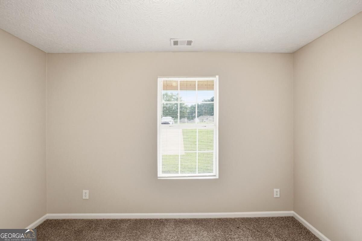 923 Carlton Pointe Terrace Palmetto - Photo 9