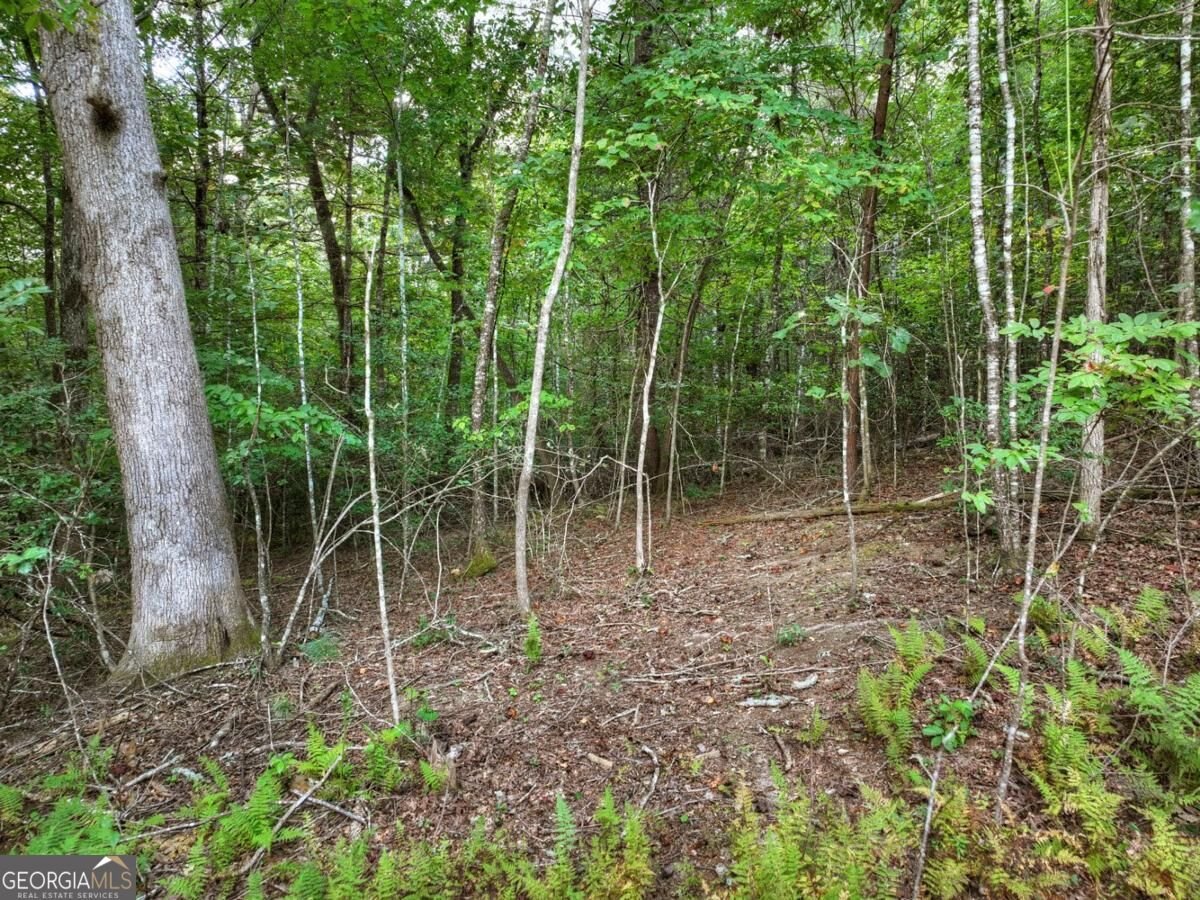 185 Pine Lane Mineral Bluff - Photo 20