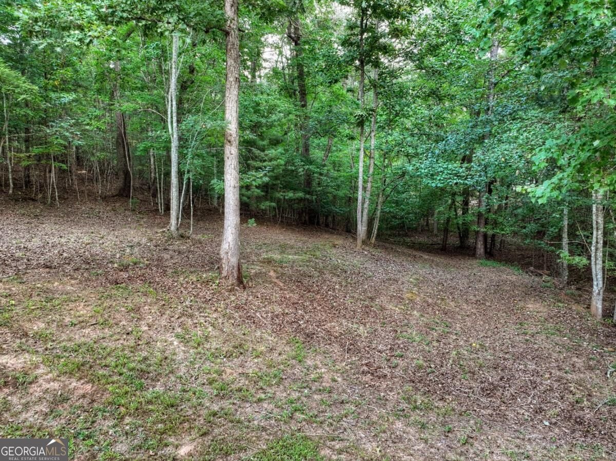 185 Pine Lane Mineral Bluff - Photo 21