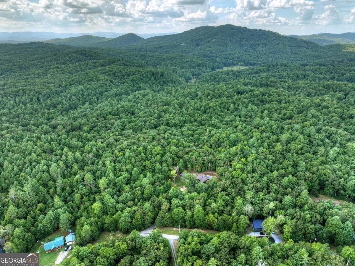 185 Pine Lane Mineral Bluff - Photo 35