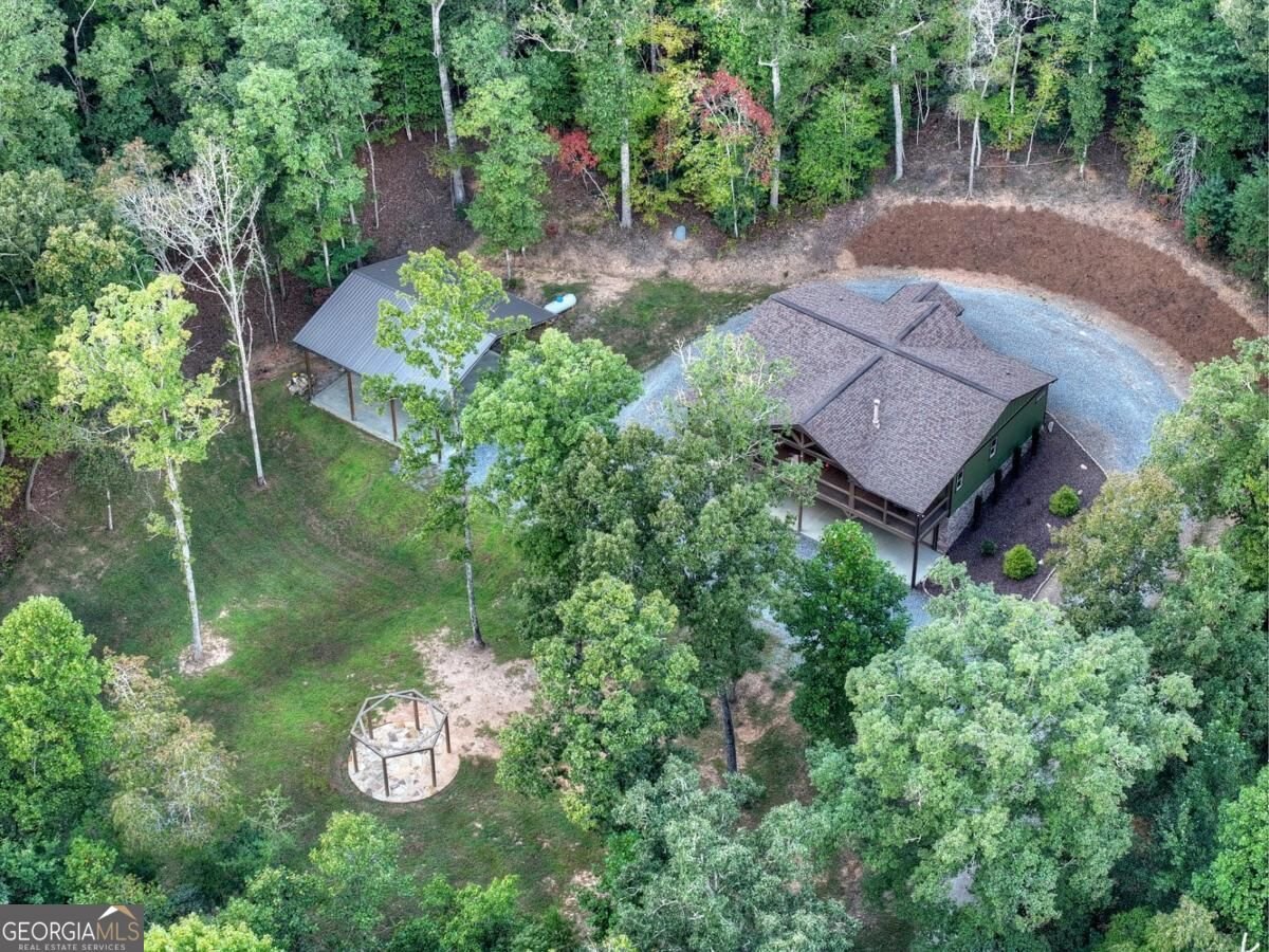 185 Pine Lane Mineral Bluff - Photo 38
