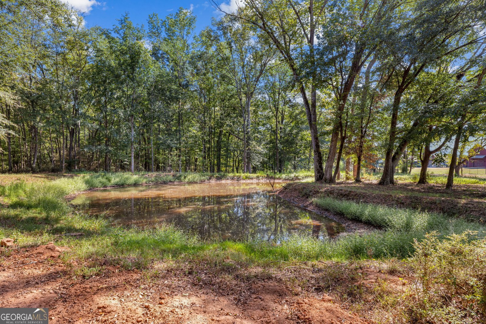 1051 Gresham Road Good Hope - Photo 49