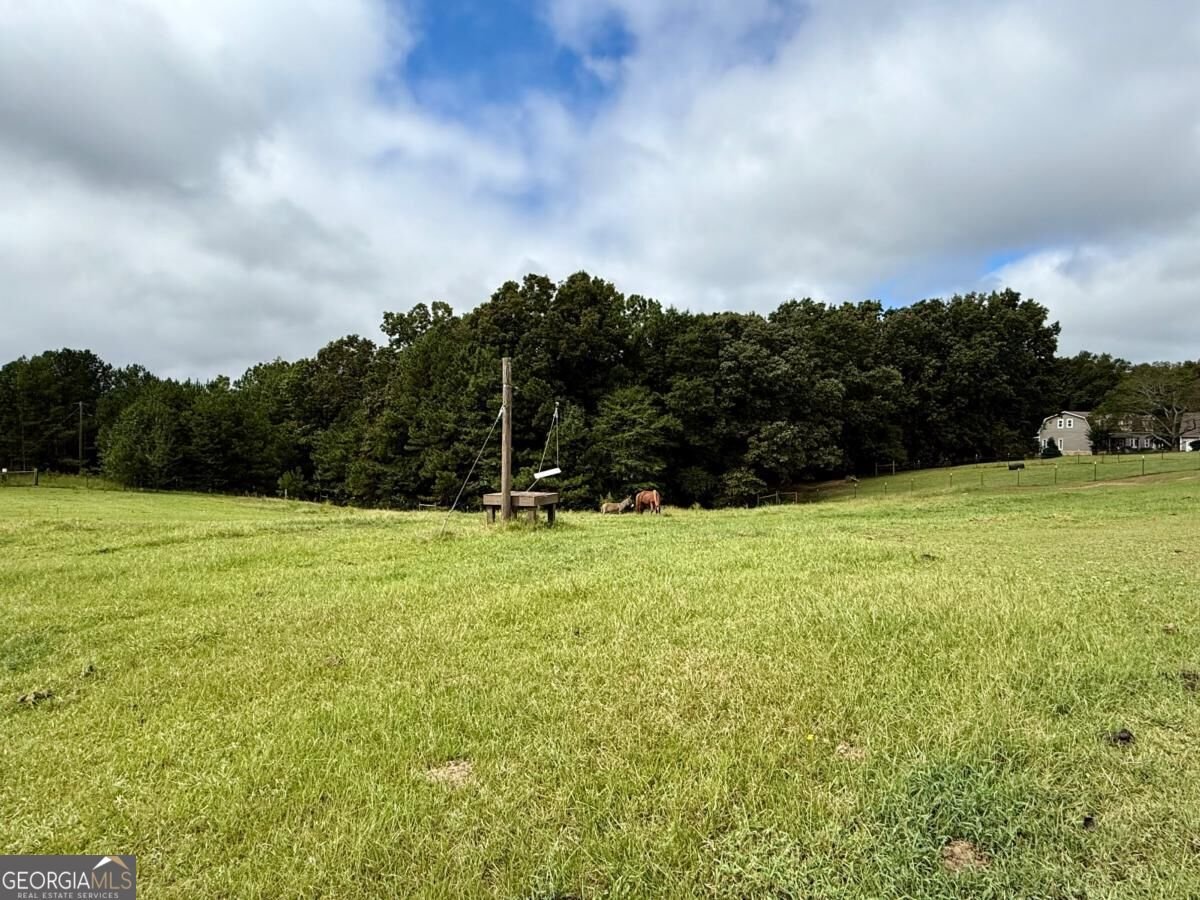 2199 Horsley Mill Road Carrollton - Photo 71