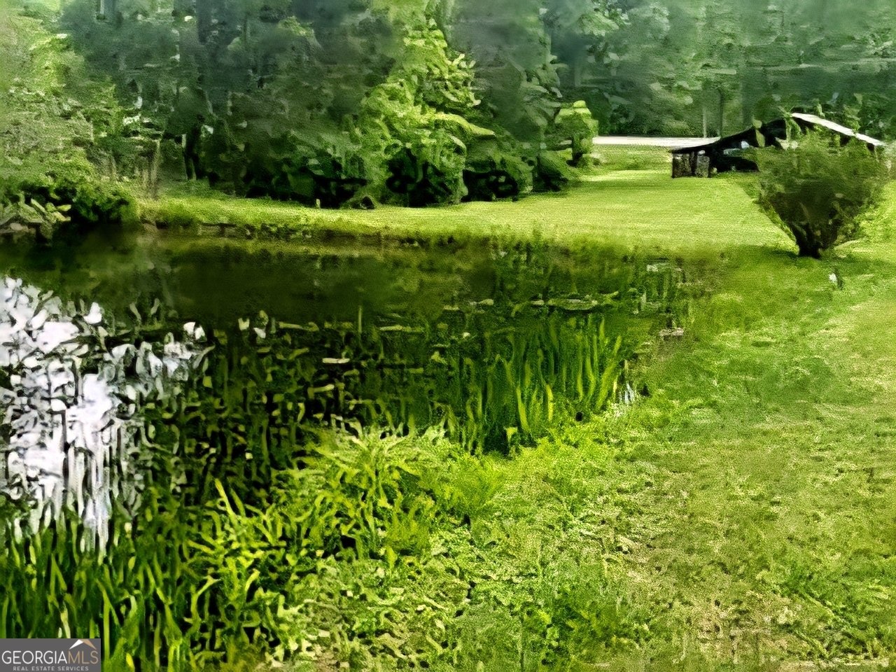 4253 Swallows Creek Road Hiawassee - Photo 7