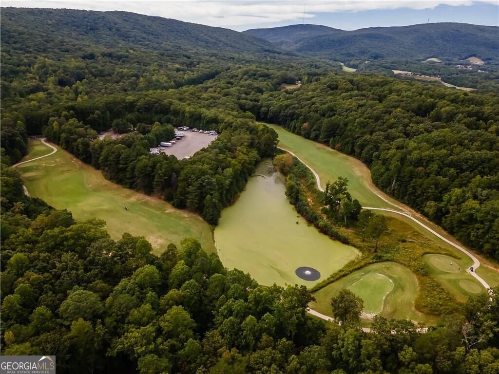 305 Ridgewood Drive Waleska - Photo 38