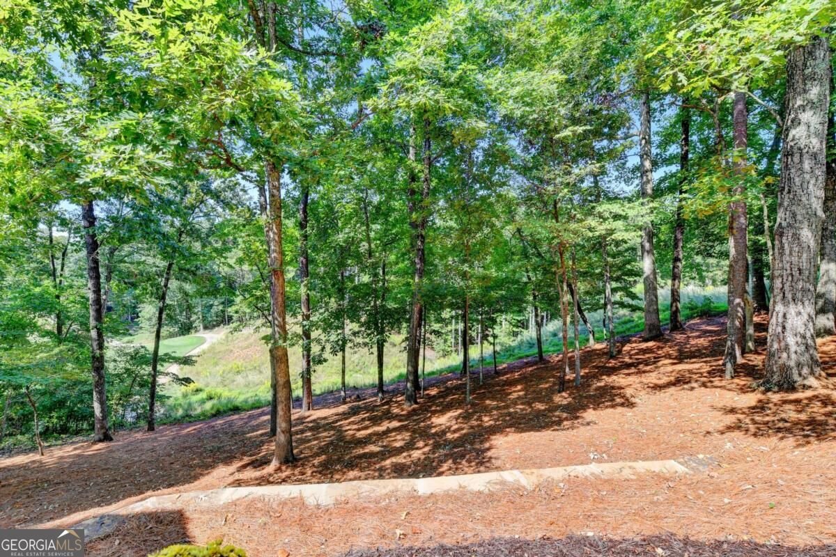 7060 Redcliff Court Suwanee - Photo 68
