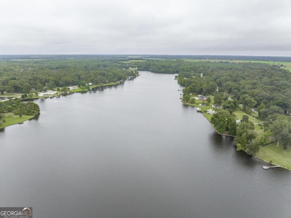 1056 Lake Drive East Dublin - Photo 47
