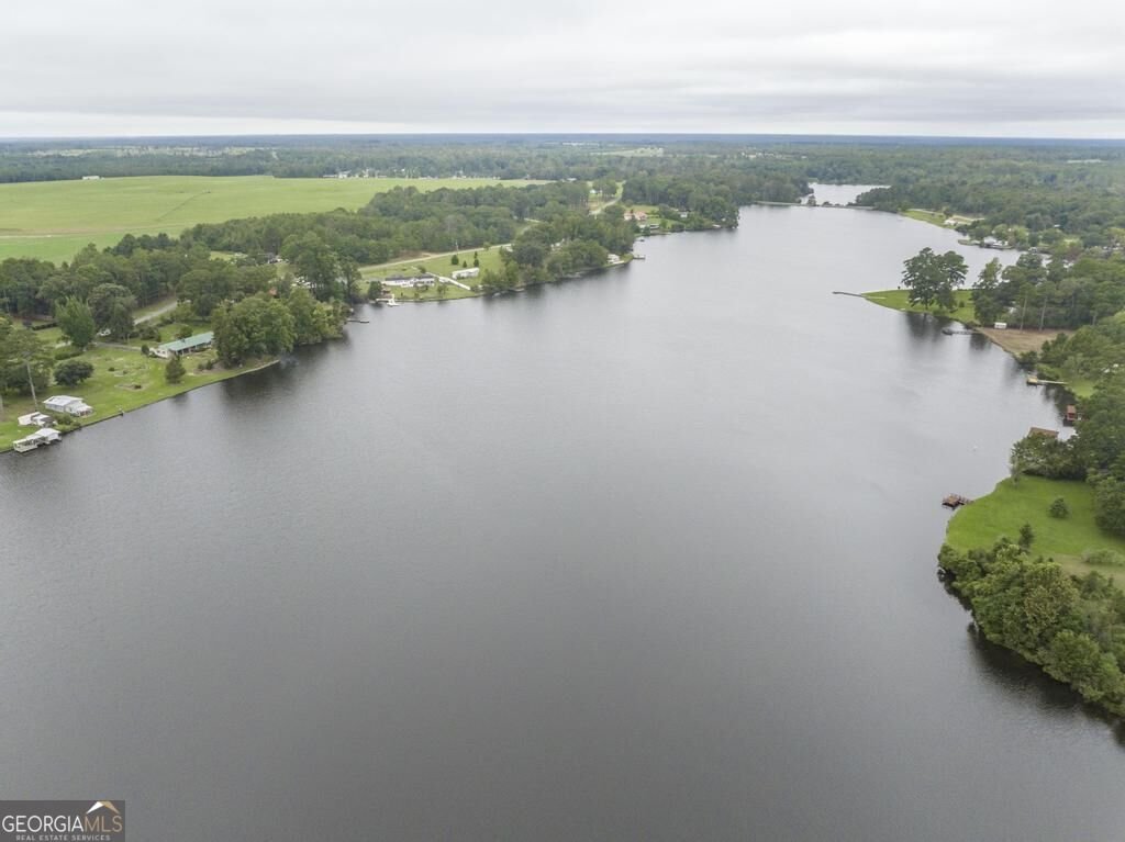 1056 Lake Drive East Dublin - Photo 48