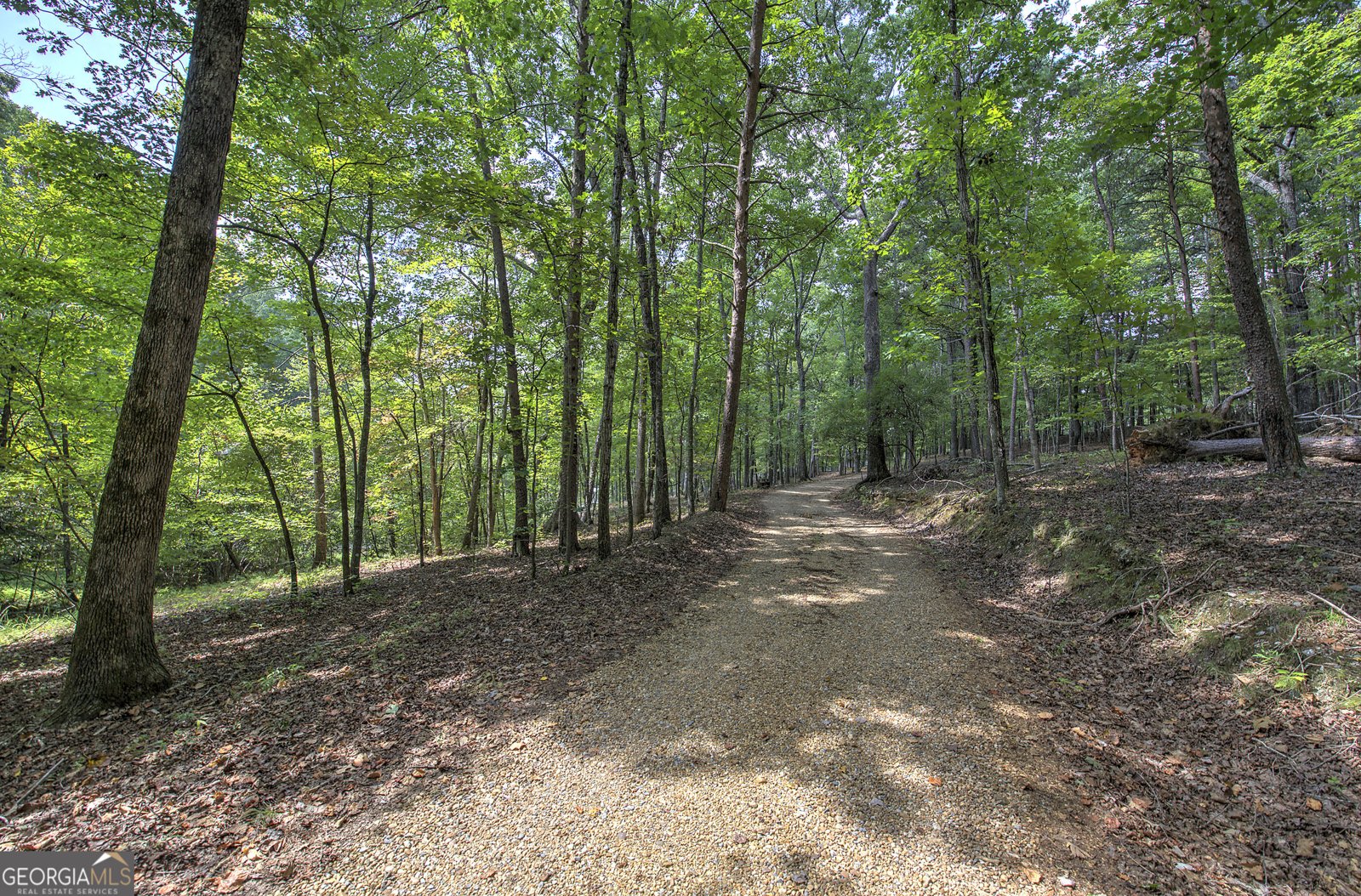 1218 Hightower Road Cedartown - Photo 10