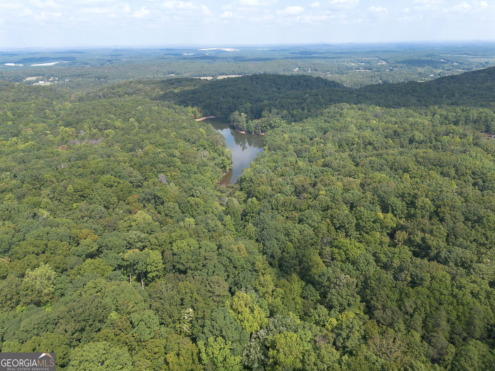 1218 Hightower Road Cedartown - Photo 100