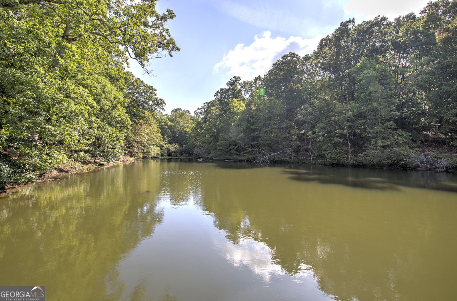 1218 Hightower Road Cedartown - Photo 13