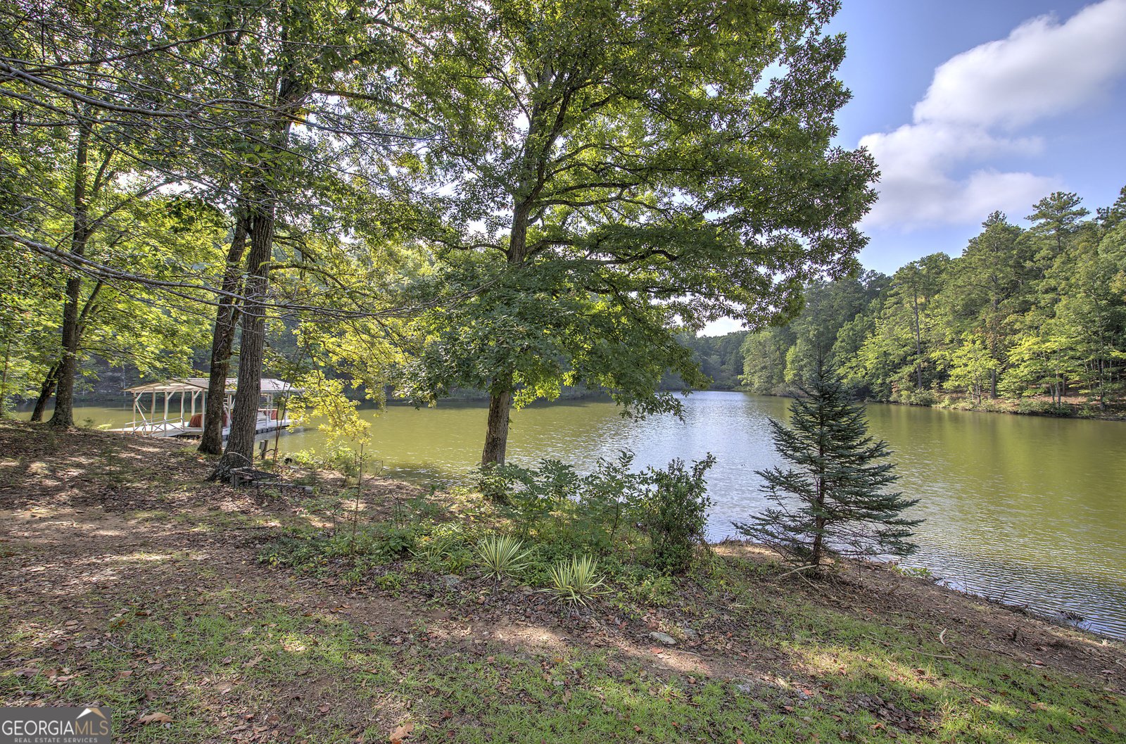 1218 Hightower Road Cedartown - Photo 16