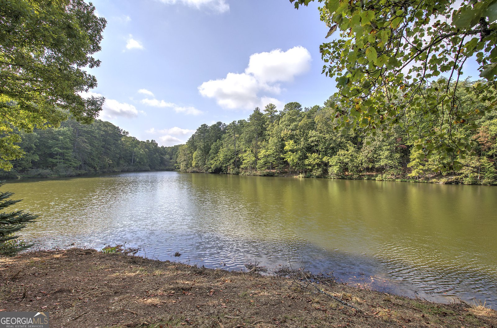 1218 Hightower Road Cedartown - Photo 17