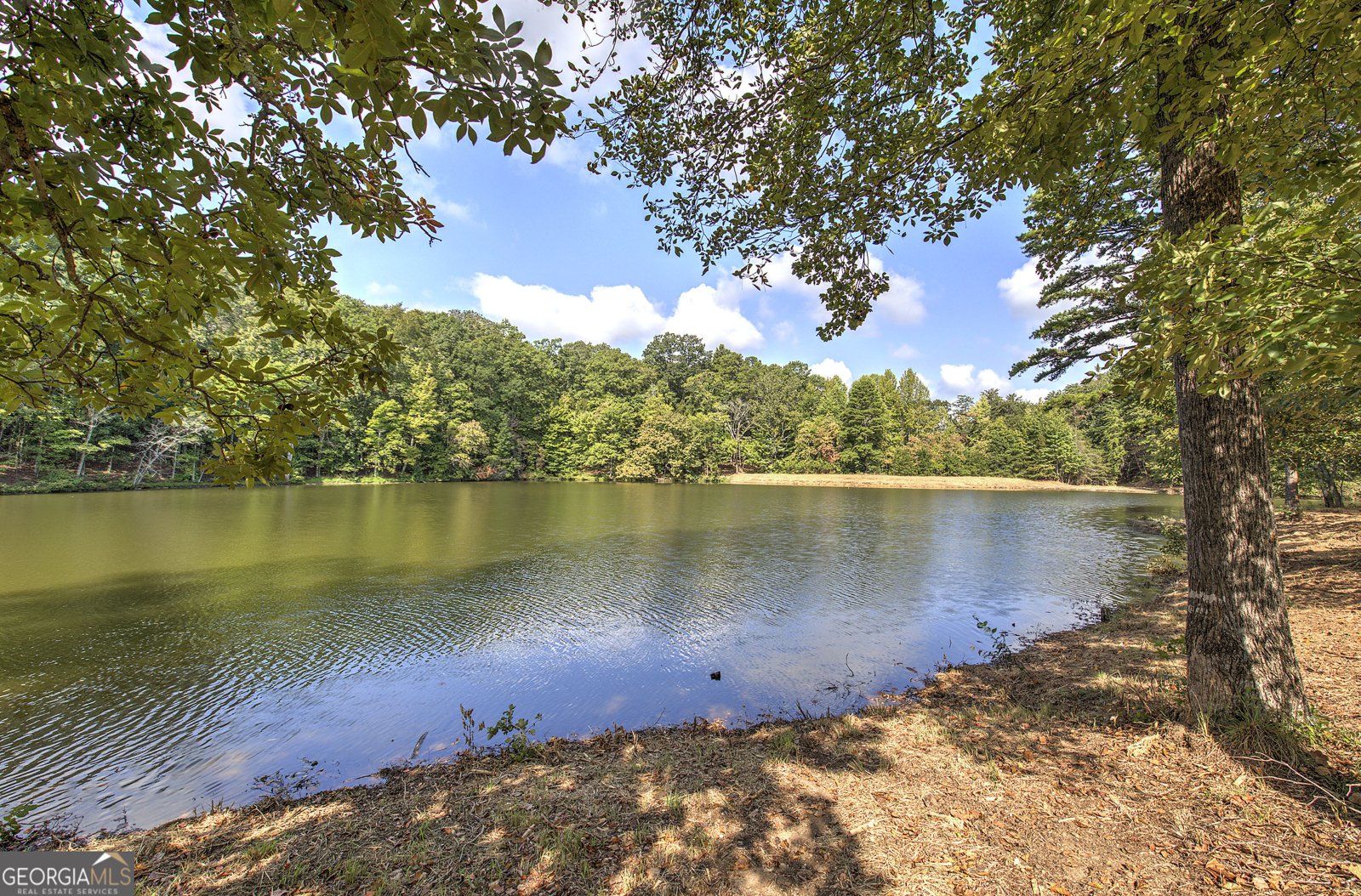 1218 Hightower Road Cedartown - Photo 18