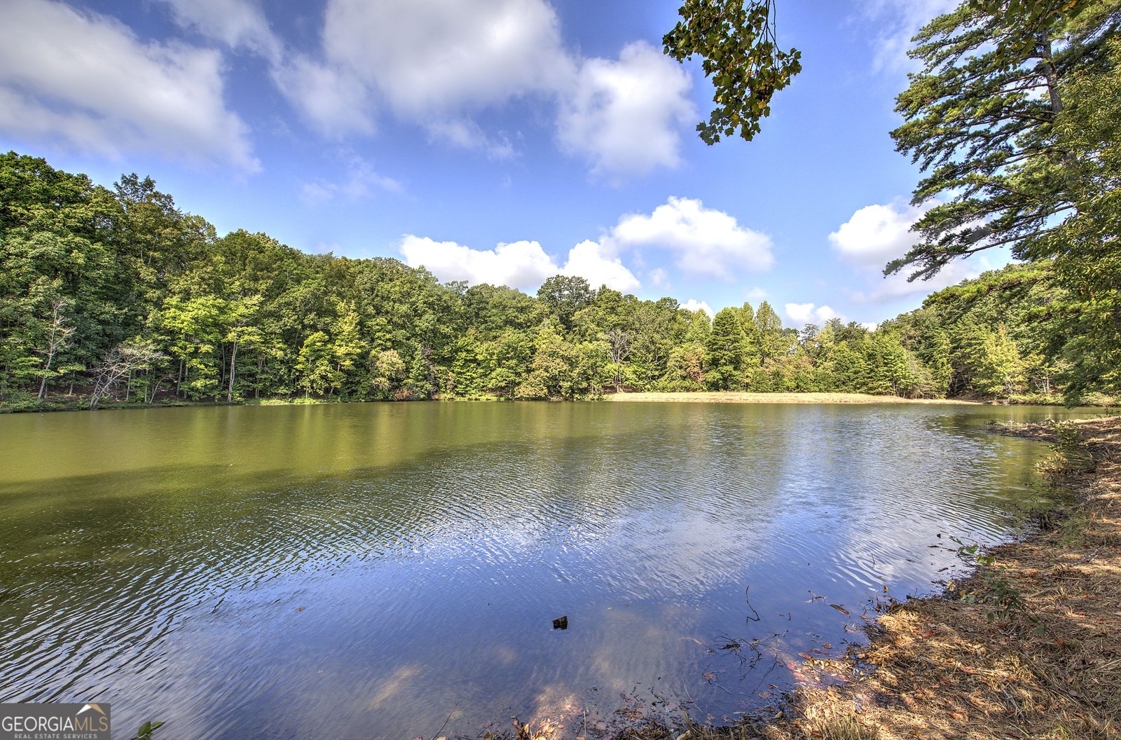 1218 Hightower Road Cedartown - Photo 19