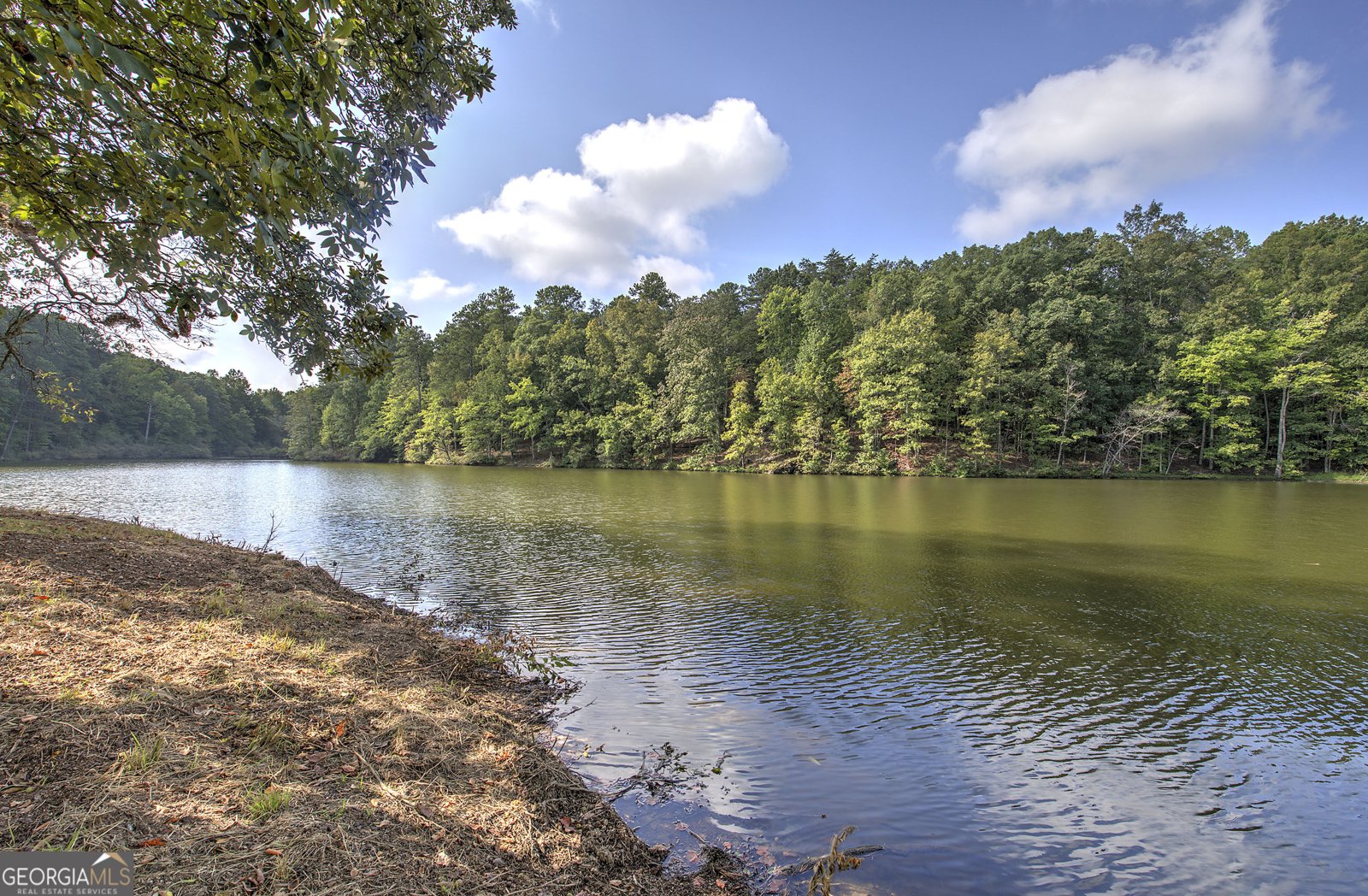 1218 Hightower Road Cedartown - Photo 20
